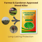 🔥Cyclosinone Herbicide Granules🔥