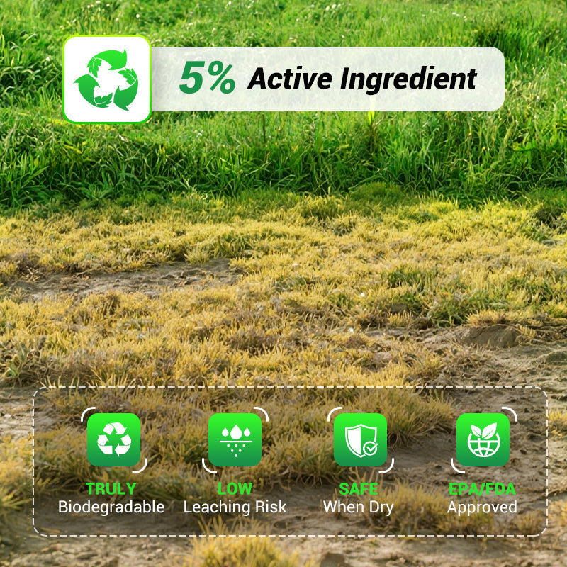 🔥Cyclosinone Herbicide Granules🔥